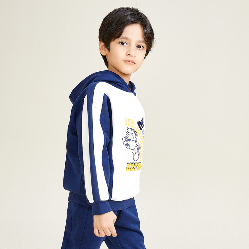 Blue and White Patchwork Squirrel Pattern Add Boys Hoodie